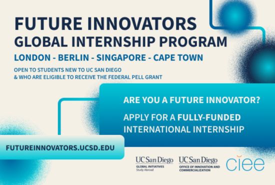 future innovators global internships